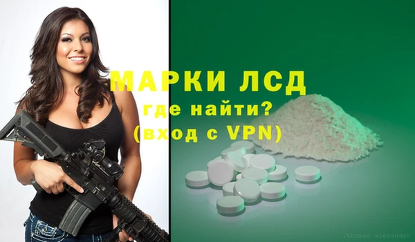 PSILOCYBIN Кулебаки